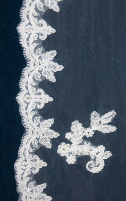 Elegant Beaded Lace Cathedral Wedding Veil in Ivory C570
