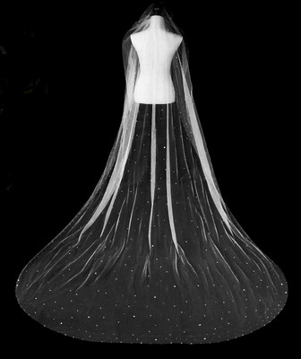 Regal Cathedral Wedding Veil Rhinestone Covered Stardust Extra Wide Regal Cathedral Wedding Veil Rhinestone Covered Stardust Extra Wide
