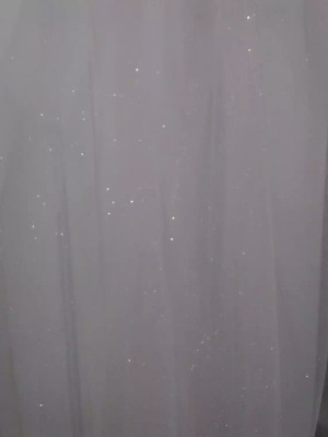 Sparkling Glitter Tulle Royal Cathedral Wedding Veil Sparkling Glitter Tulle Royal Cathedral Wedding Veil