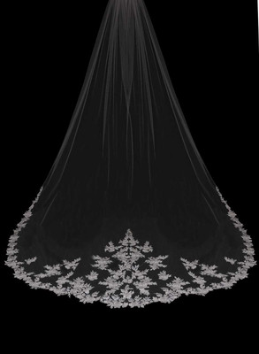 Regal Cathedral Wedding Veil with Beaded Lace Envogue V2392RC Regal Cathedral Wedding Veil with Beaded Lace Envogue V2392RC