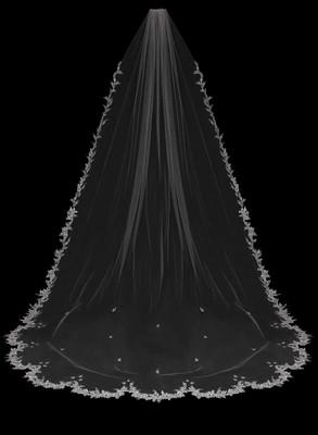 Royal Cathedral Wedding Veil with Lace Envogue V2389RC