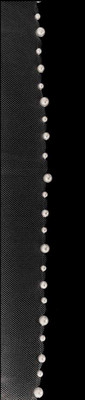 Pearl Edged Cathedral Wedding Veil V3287C