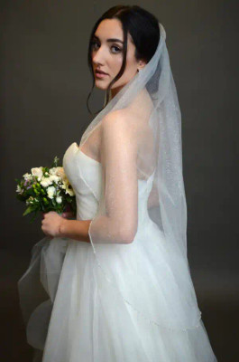 Glitter Tulle Wedding Veil with Rhinestone Trim Glitter Tulle Wedding Veil with Rhinestone Trim