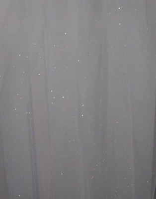 Glitter Regal Cathedral Wedding Veil Beaded Lace Envogue V2396RC-G Glitter Regal Cathedral Wedding Veil Beaded Lace Envogue V2396RC-G