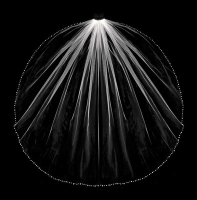 First Communion Veil with Pearl Edge 3287C