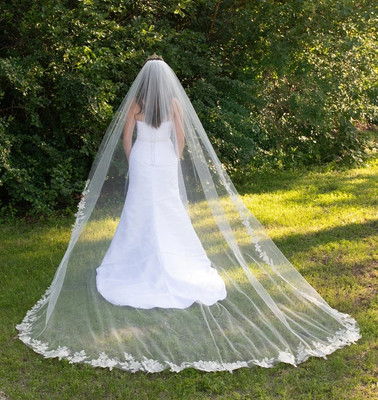 Silver and Gold Floral Embroidered Lace Royal Cathedral Wedding Veil