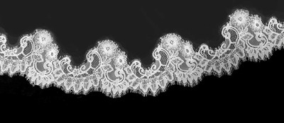 Regal Cathedral Mantilla Wedding Veil with Floral Chantilly Lace