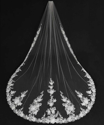 Stunning Lace and Pearl Royal Cathedral Wedding Veil