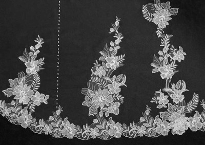 Stunning Lace and Pearl Royal Cathedral Wedding Veil