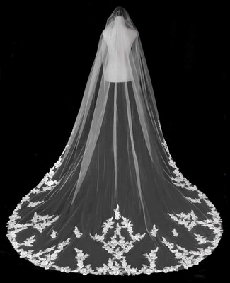 Cathedral Wedding Veil with Alencon Lace and Rhinestones