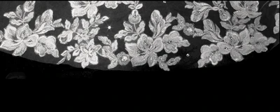 Cathedral Wedding Veil with Gorgeous Beaded Alencon Lace