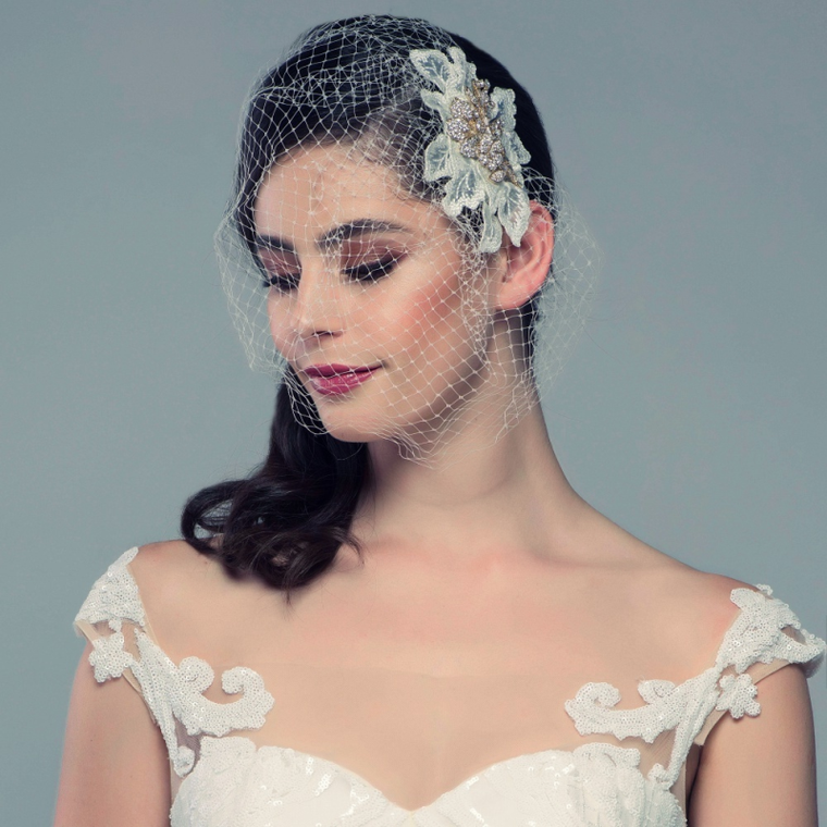 Birdcage Wedding Veil with Gold Plated Crystal Clip