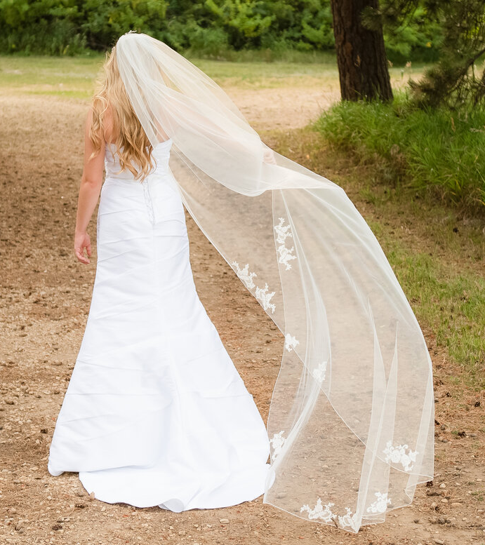 Customizable Lace Cut Edge Cathedral Length Wedding Veil Cathedral