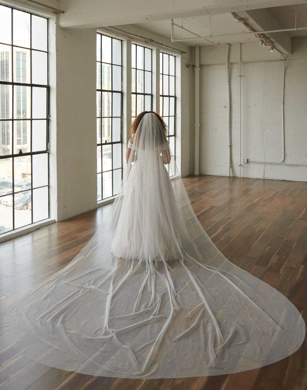 Envogue Royal Cathedral Bridal Veil | V2384RC