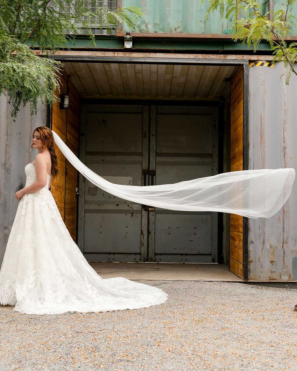 https://cdn11.bigcommerce.com/s-zb3qt33o/images/stencil/original/products/19629/60603/Soft-English-Luxe-Tulle-Cathedral-Wedding-Veil-Envogue-V22294C_52667__94372.1689434343.jpg
