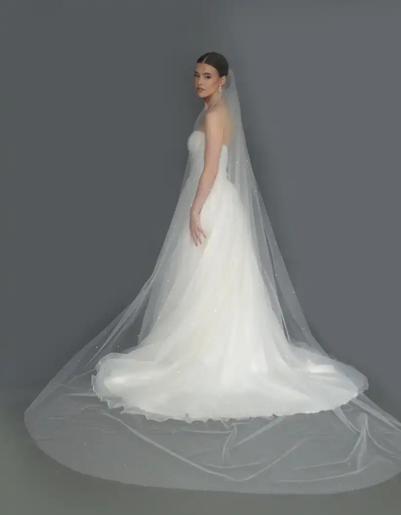 Glistening Rhinestone Scatter Royal Cathedral Wedding Veil display picture 3