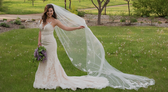 Royal Cathedral Wedding Veil Drop Veil