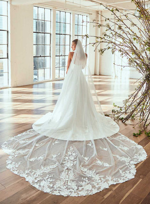 Regal Cathedral Glitter Tulle Lace Wedding Veil Envogue
