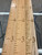 Red Oak Growth Chart Ruler