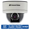 Arecont Vision AV5155DN-1HK