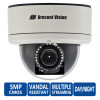 Arecont Vision AV5255AMIR-H MegaDome Security Camera (Heater)
