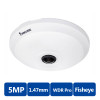 Vivotek FE9181-H