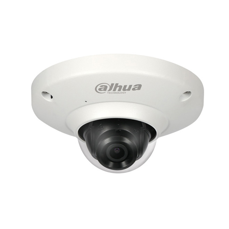 Dahua N55BS5 Outdoor Fisheye IP Security Camera discontinued