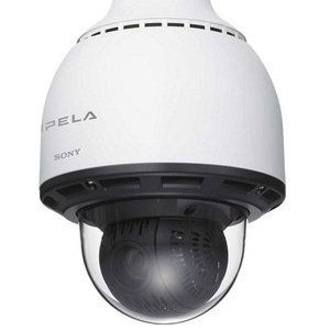 Sony SNC-RS84N Outdoor Dome IP Security Camera