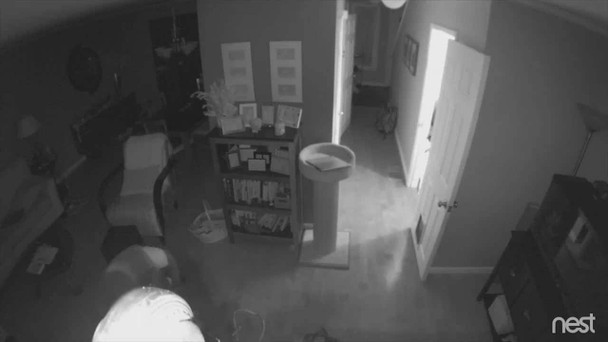 Nest NC2100ES 3MP IR Wireless Outdoor Mini Bullet IP Security Camera