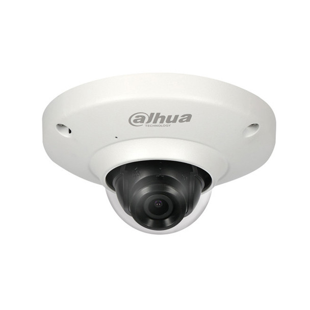 Dahua N55BS5 5MP H.265 Outdoor Fisheye IP Security Camera - Built-in Mic