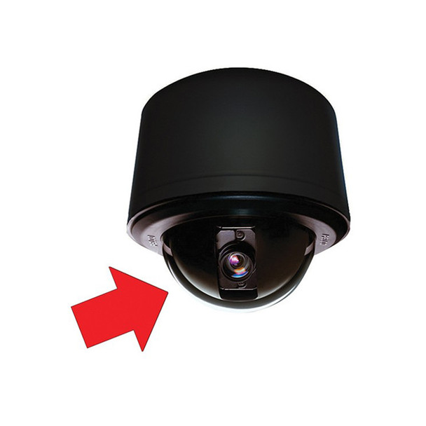 Pelco LD53PSB1 Stainless Steel Lower Dome Clear Pendant Black Trim Ring - 1