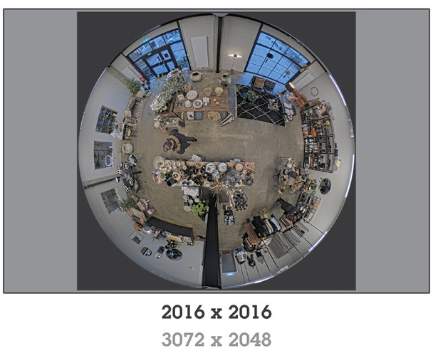 AXIS M3067-P 6MP H.265 Indoor Mini Dome IP Security Camera with 360-degree Panoramic View - 01731-001