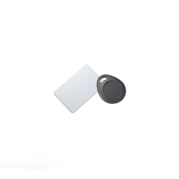 Geovision GV-AS ID Key Fob - 81-MK125K0-0001