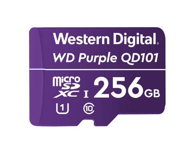 LTS DHWDD256G1P0C 256GB Surveillance microSD Card