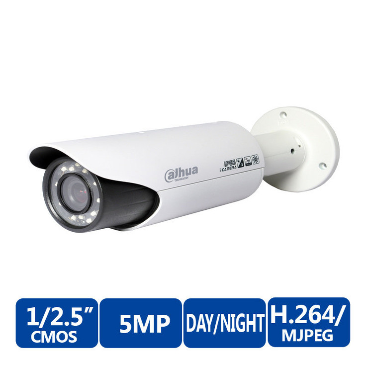 dahua ip camera utility search