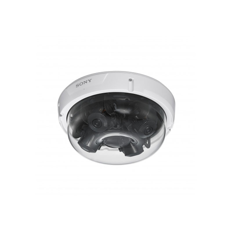 Sony SNCWL862 Outdoor Dome IP Security Camera