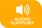 Geovision GV-VS11 H.264 Video Encoder audio support