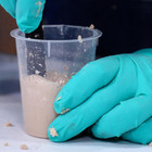  West System Epoxy 410 Microlight Filler 50g 