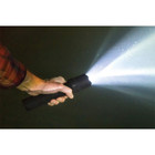  Coast PolySteel PS200 250 Lumen LED Waterproof Torch 