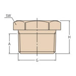 Guidi Brass Plug Pipe Fitting 