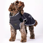  Pelle Petterson Commodus Dog Coat 