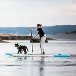  Baltic Mascot Dog Life Jacket 