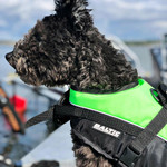  Baltic Mascot Dog Life Jacket 