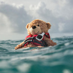  Garmin OnBoard - Wireless MOB Detection & Engine Cut Off System 