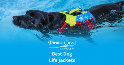 Best Dog Life Jackets