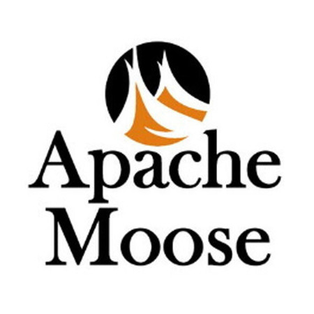 Apache Moose Deck Shoes