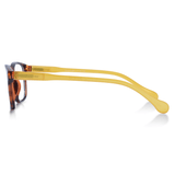 Round Rectangle Bifocal Readers - Astute