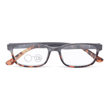 High Power Two Tone Readers - Radiance