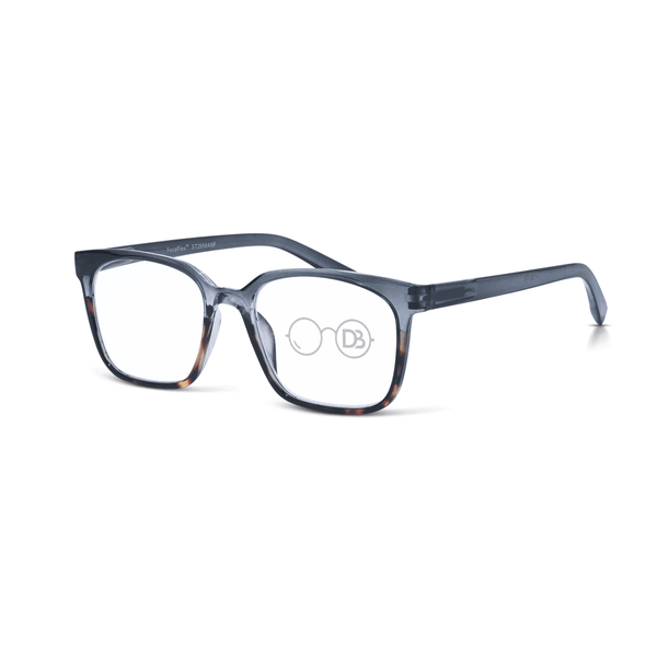 Progressive Multi-Focal Rectangle Reader - Memory