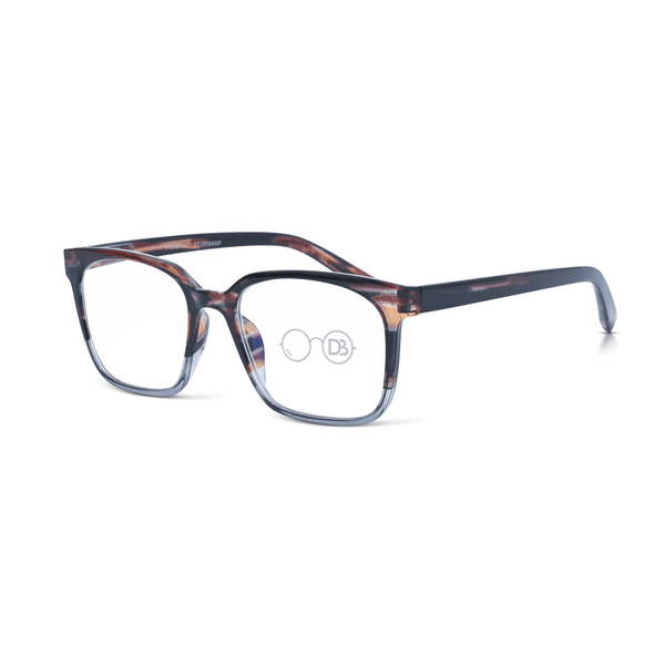 Progressive Multi-Focal Rectangle Reader - Memory
